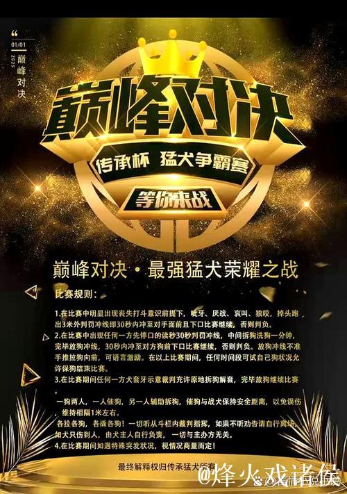 每日大赛精彩竞技等你来战 每日大赛精彩竞技等你来战